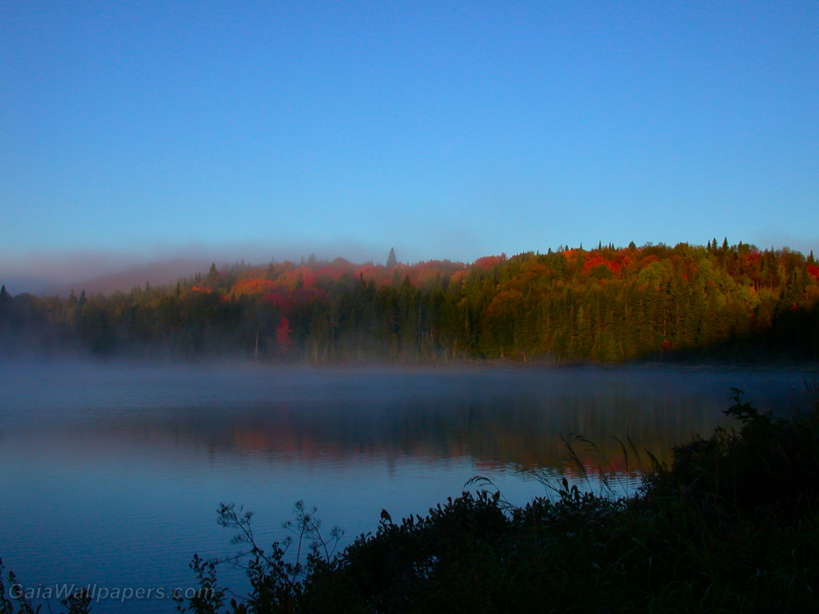 Lac légèrement brumeux début de l'automne - Fonds d'écran gratuits