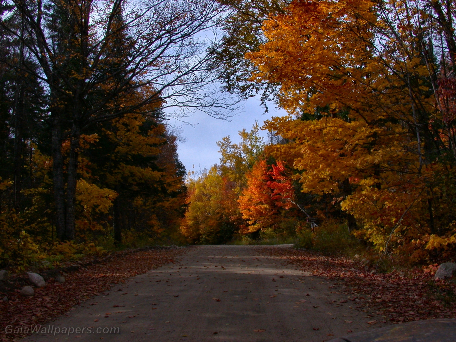 Autumn on the road - Free desktop wallpapers