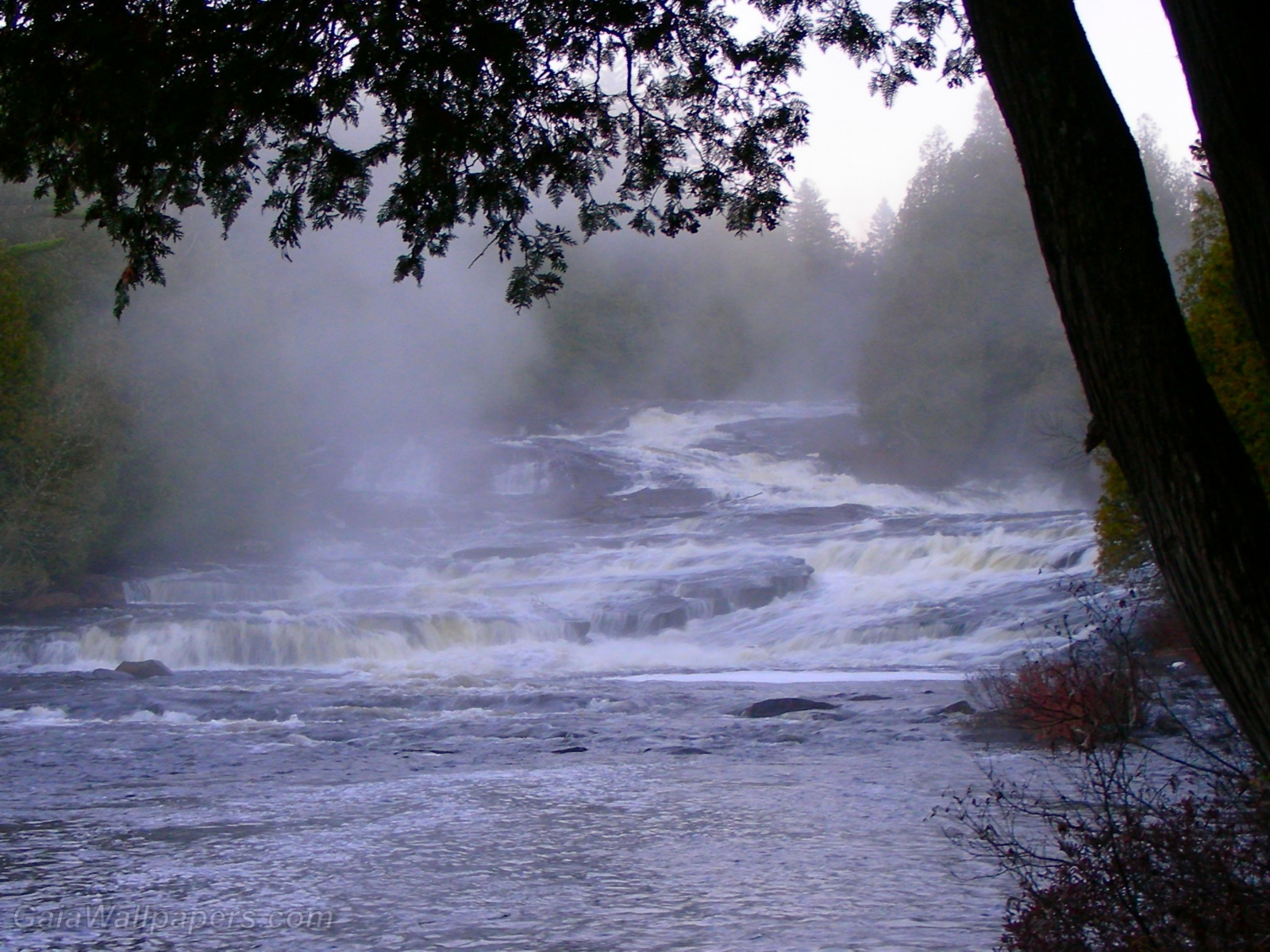 Stream Les Six-Chutes in the morning fog - Free desktop wallpapers