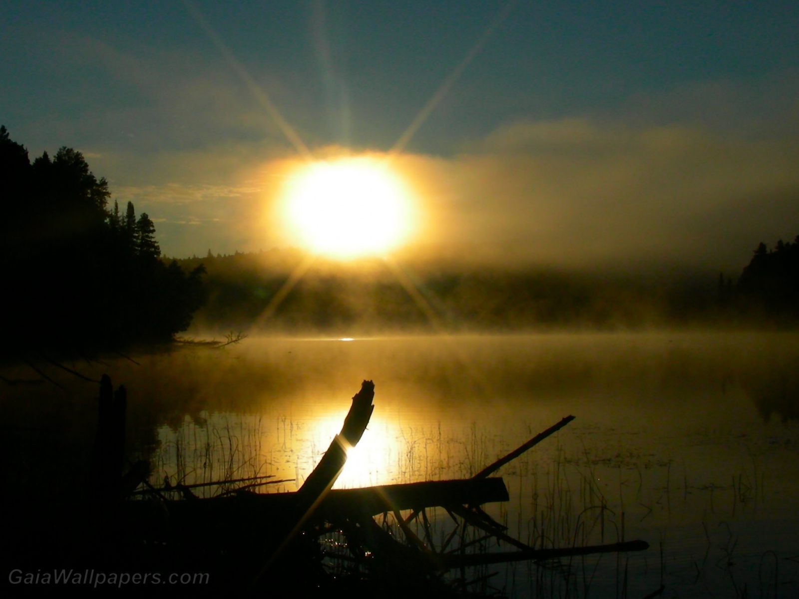 Lever de soleil à travers lac brumeux - Fonds d'écran gratuits