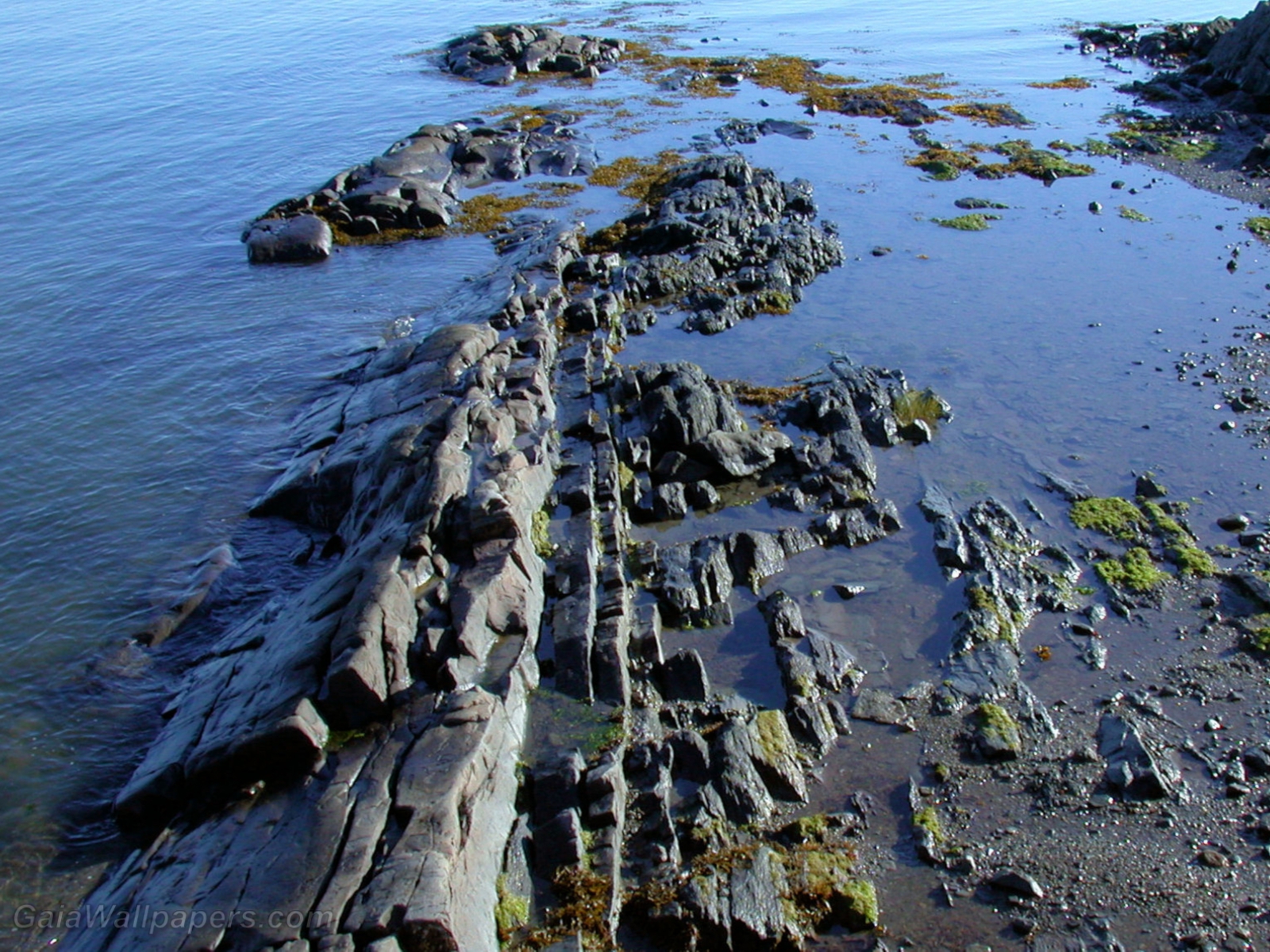 Très vieilles pierres sur les rives du fleuve Saint-Laurent - Fonds d'écran gratuits