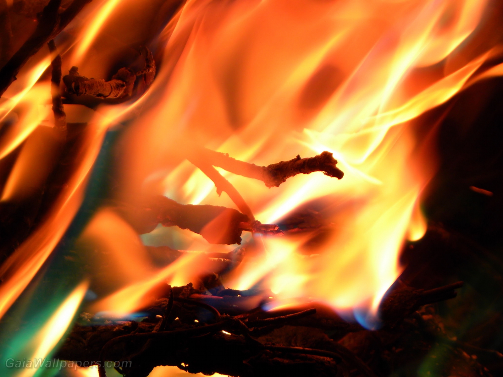 Hot flames - Free desktop wallpapers