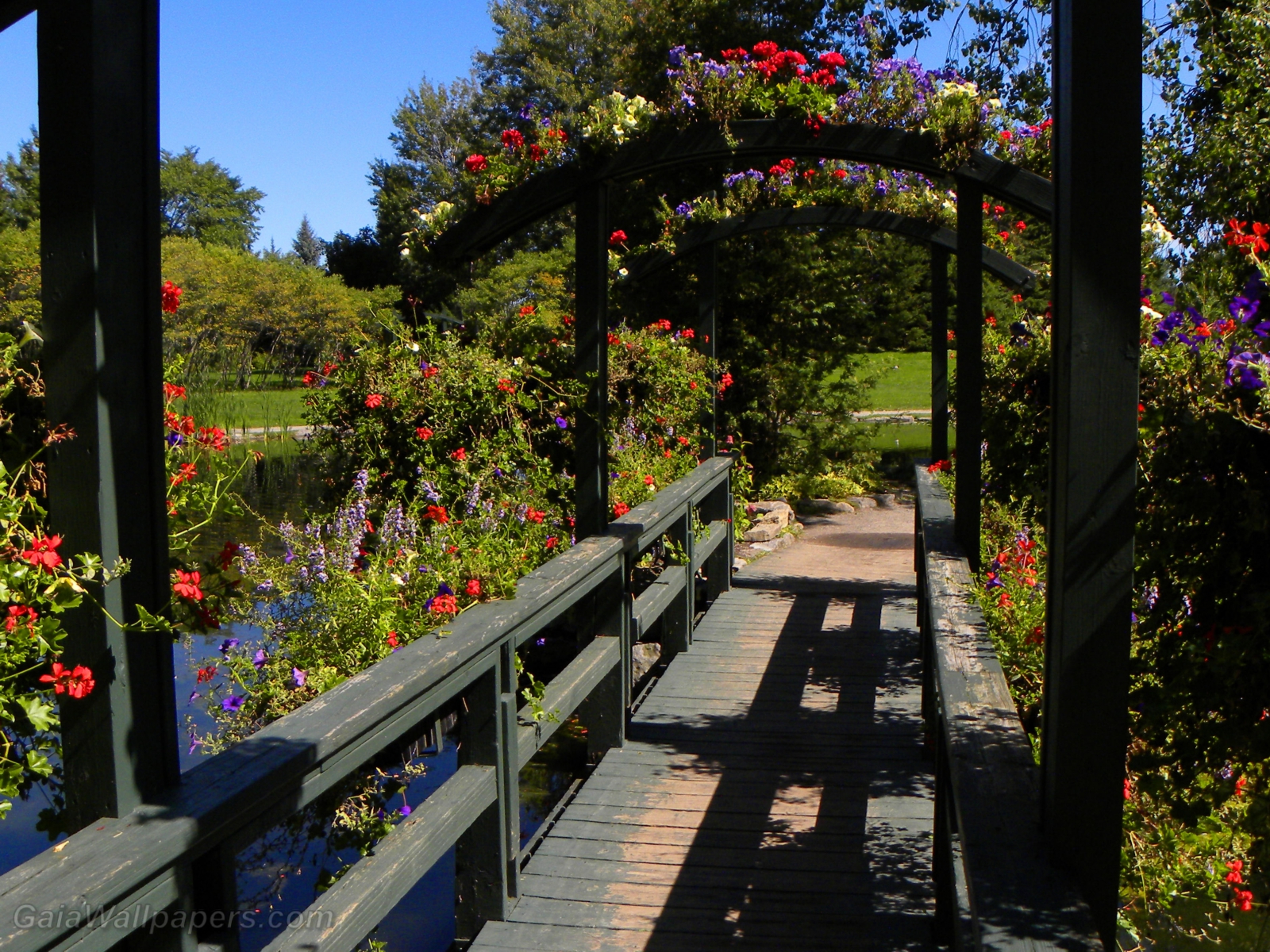 Pont de bois couvert de fleurs - Fonds d'écran gratuits