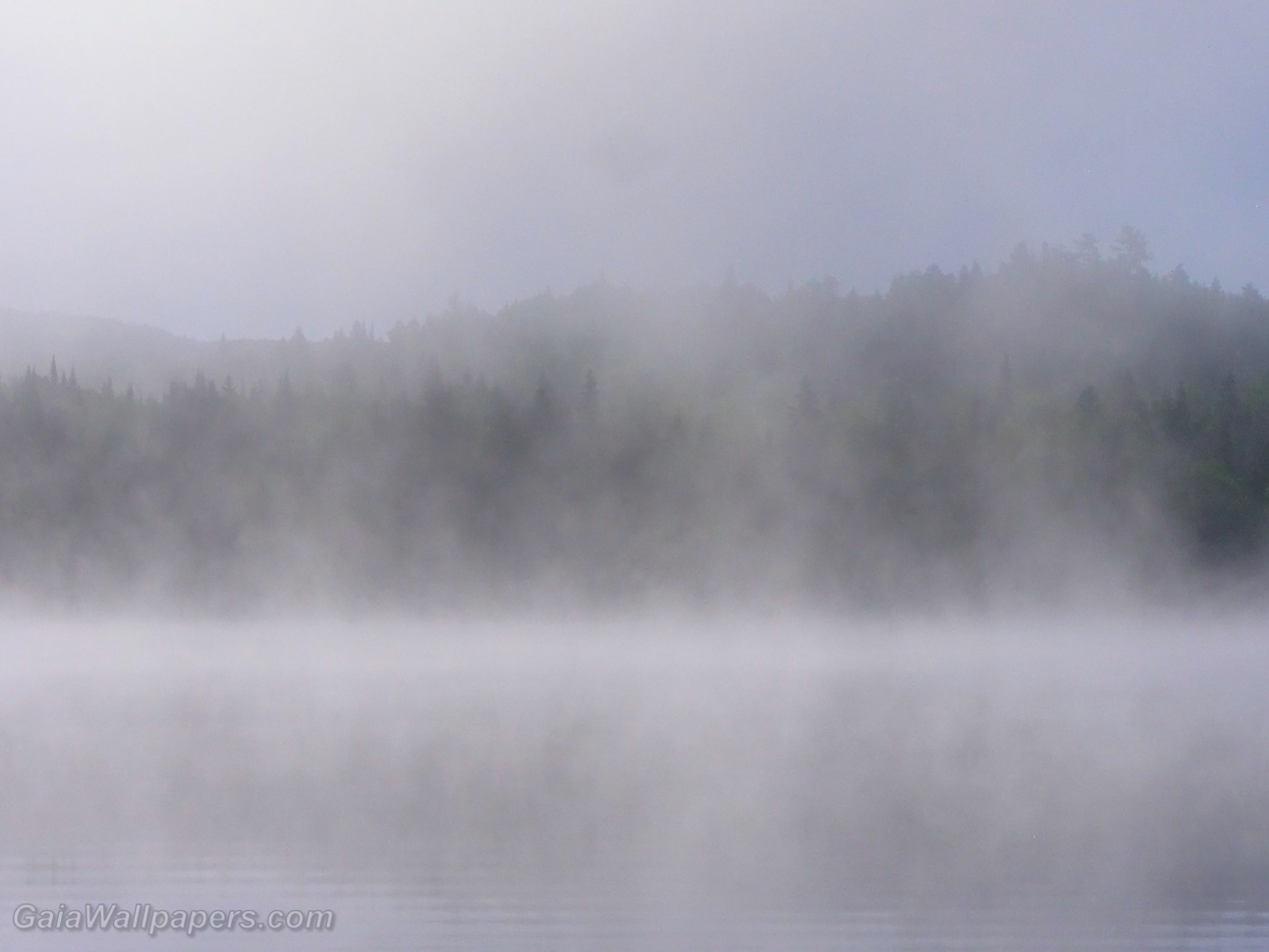 Lac Caisse dans la brume du matin - Fonds d'écran gratuits