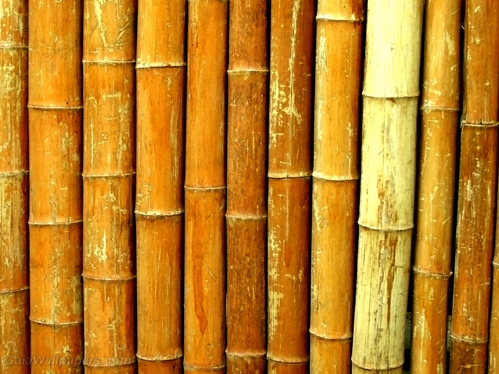 Wall of bamboo - Free desktop wallpapers