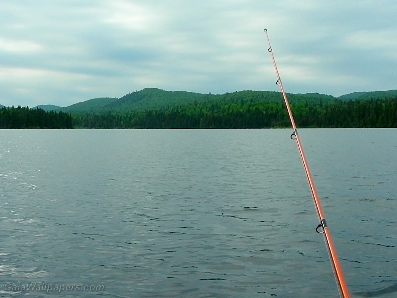Cloudy fishing day at Mont-Tremblant National Park - Free desktop wallpapers