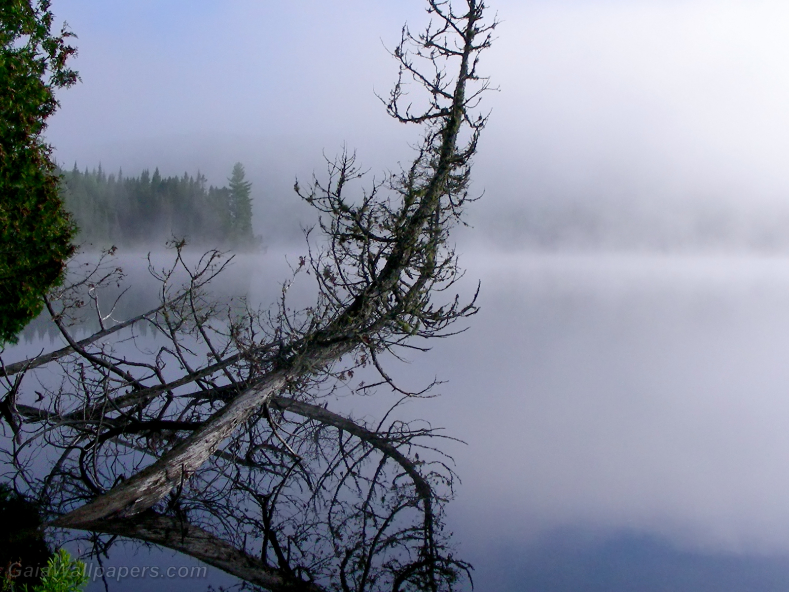 Soleil perçant le matin brumeux sur le lac - Fonds d'écran gratuits