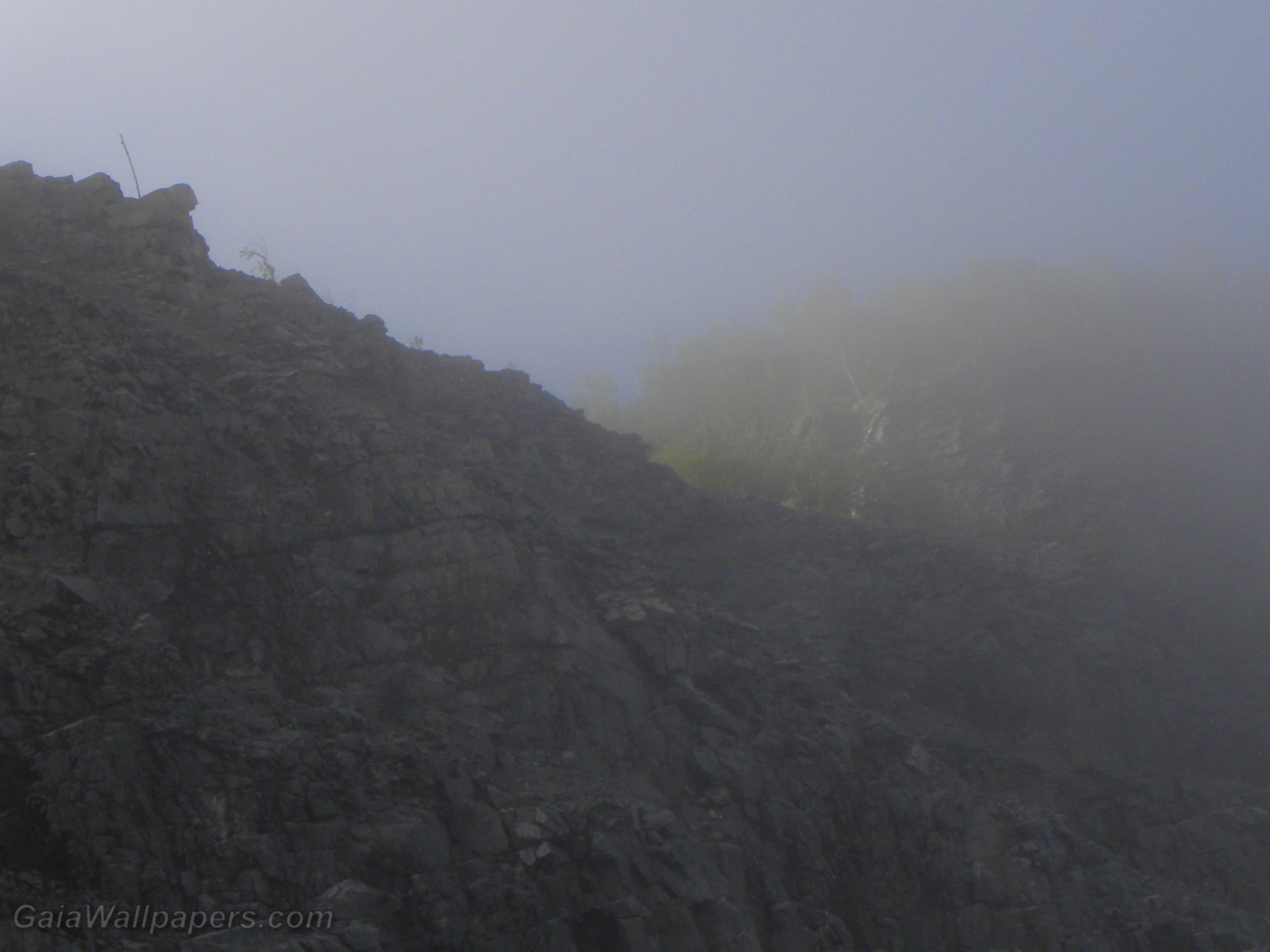 Threatening cliff in the morning mist - Free desktop wallpapers