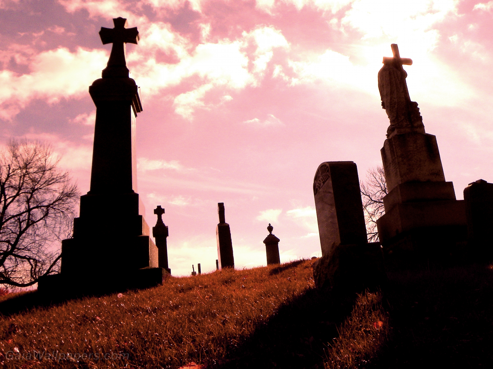 Critical moment in the cemetery - Free desktop wallpapers