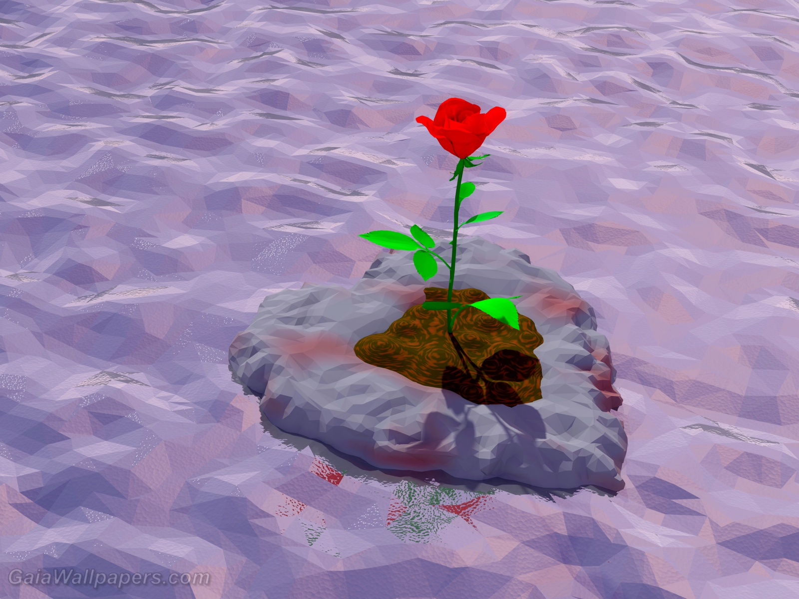 Rose of love drifting on the sea - Free desktop wallpapers