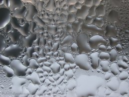 Silver water drop condensation desktop wallpapers