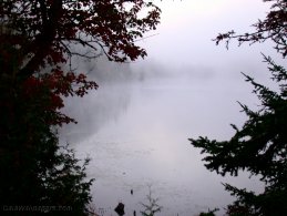 Brouillard épais au-dessus du lac fonds d'écran gratuits