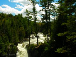 Waterfalls in the forest desktop wallpapers