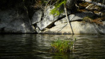 Bord de lac rocheux dans la forêt fonds d'écran gratuits