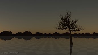 Lonely tree in a lonely land at dusk desktop wallpapers