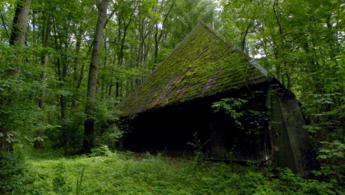 Vieux refuge abandonné dans la forêt fonds d'écran gratuits